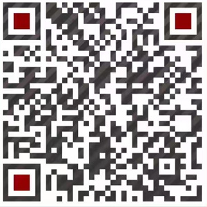 WeChat:8615019459262